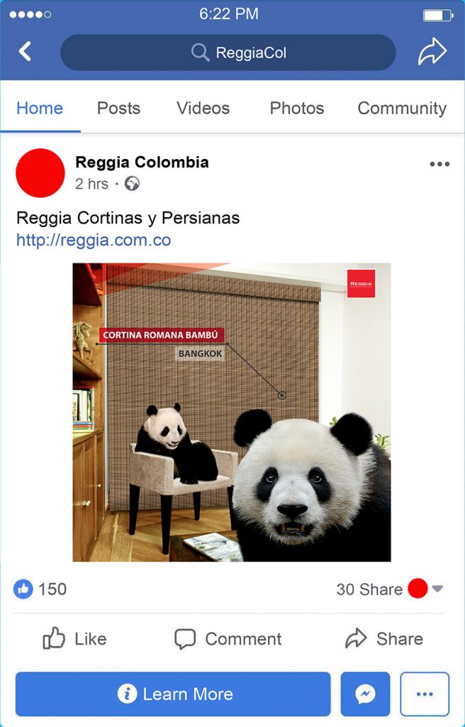 Reggia Redes Sociales